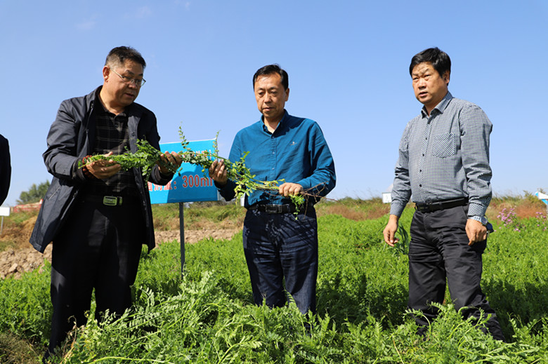 省耕管总站农科院专家组调研永靖县耕地休耕试点工作