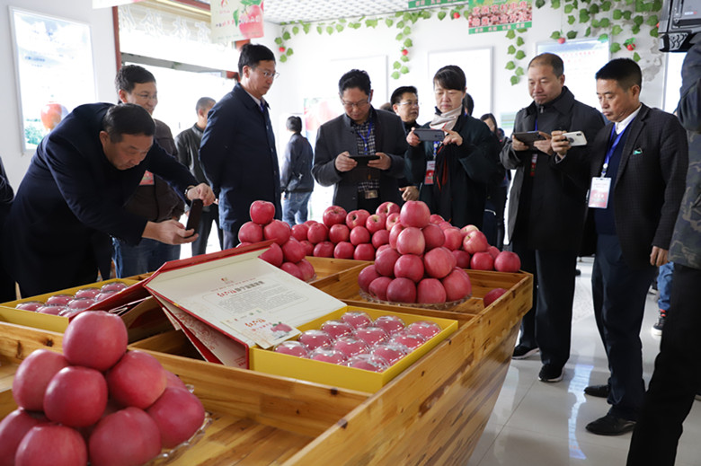 全省果品产业扶贫现场推进会在静宁县召开