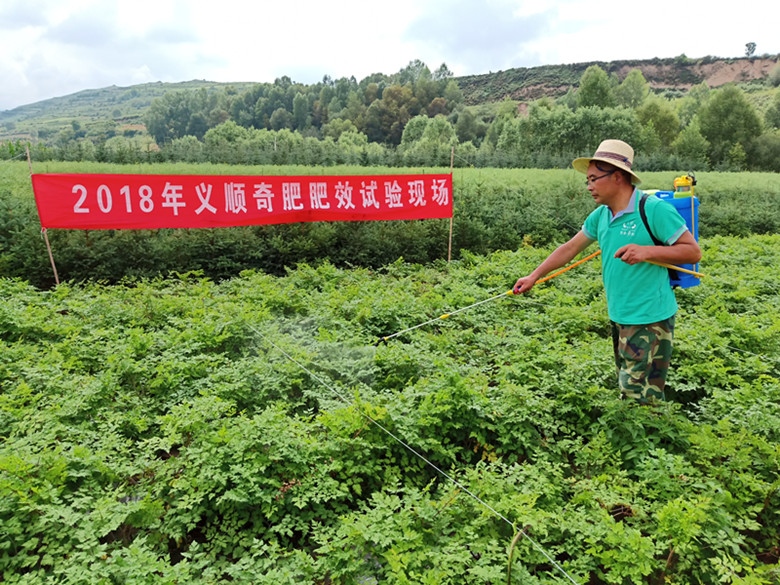 康乐县义顺农工商公司简介