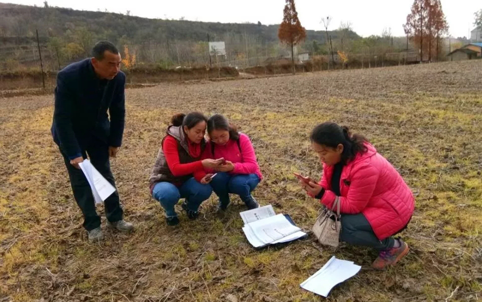 徽县农业污染源普查种植业典型地块调查工作全面完成
