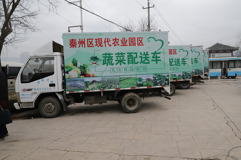 秦州区：培育壮大蔬菜产业全力助推脱贫攻坚