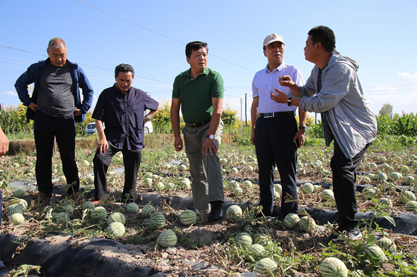农业农村部耕保中心调研组赴高台县指导耕地质量监测体系建设工作