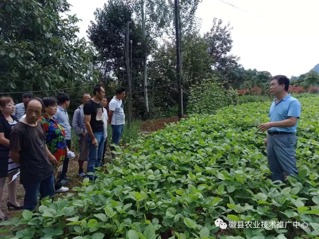 徽县农技中心在水阳镇石滩和两垭村组织开展贫困户主要劳动力培训
