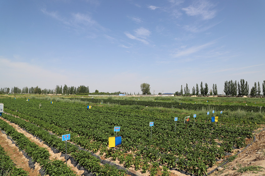 民乐县着力推动农业绿色生产