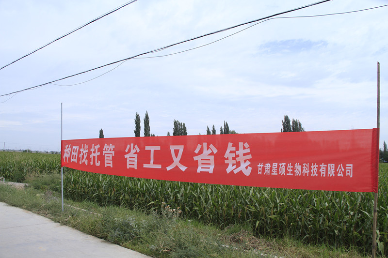 张掖市举办“2019绿色农业水肥药托管服务现场观摩交流会”