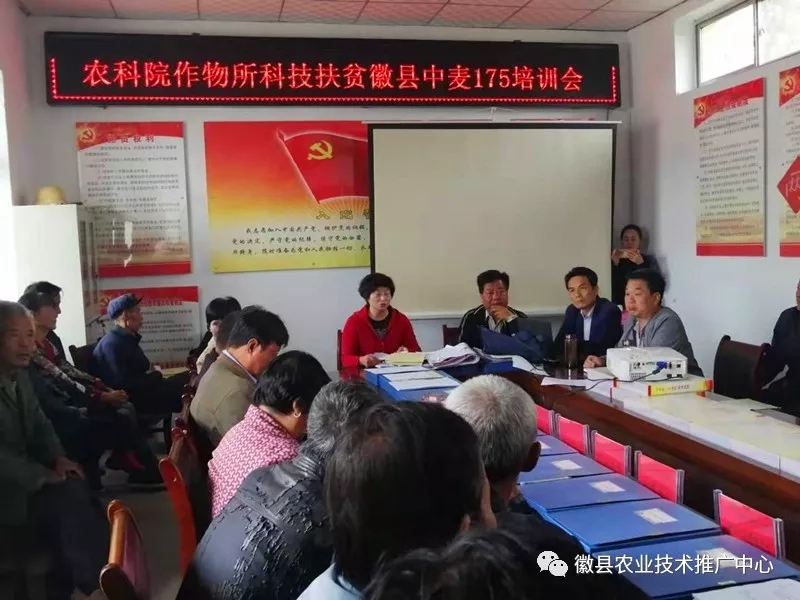 中国农科院作物研究所在徽县开展科技扶贫