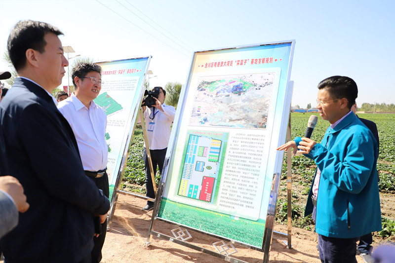 水肥一体化技术助力金川区供港蔬菜基地打造绿色产品