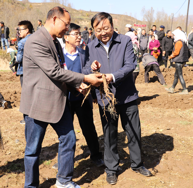 全省中药材绿色标准化基地建设及机械化收获现场会在宕昌县召开