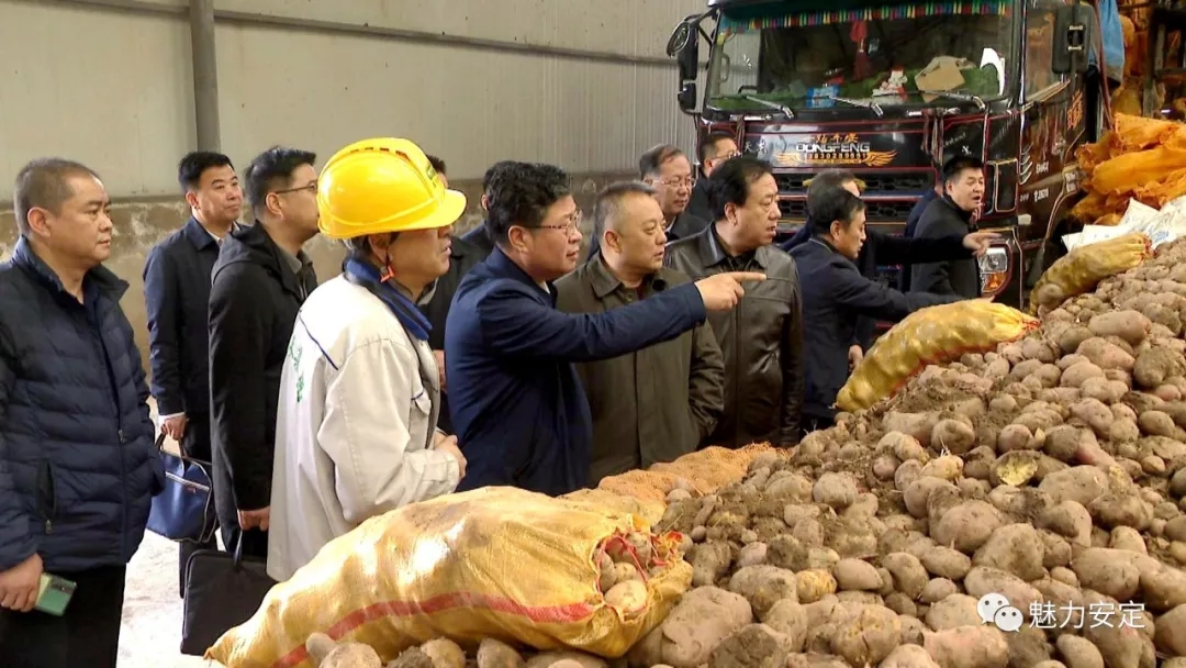 省农业农村厅厅长李旺泽调研安定区马铃薯产业发展情况