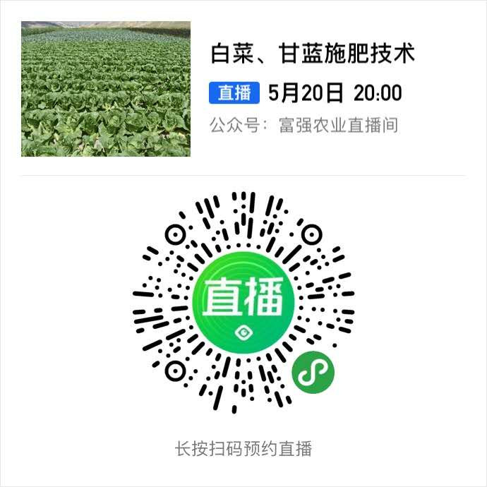 甘肃三农在线与富强农业农技公司联合开通直播平台