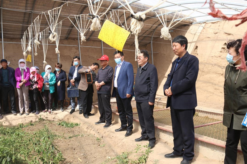 古浪县：大力开展农业生态环境保护  示范演示和培训