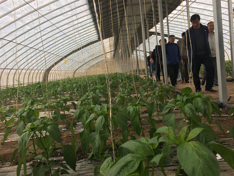 民乐县农技中心举办智慧农业及水肥一体化技术培训班