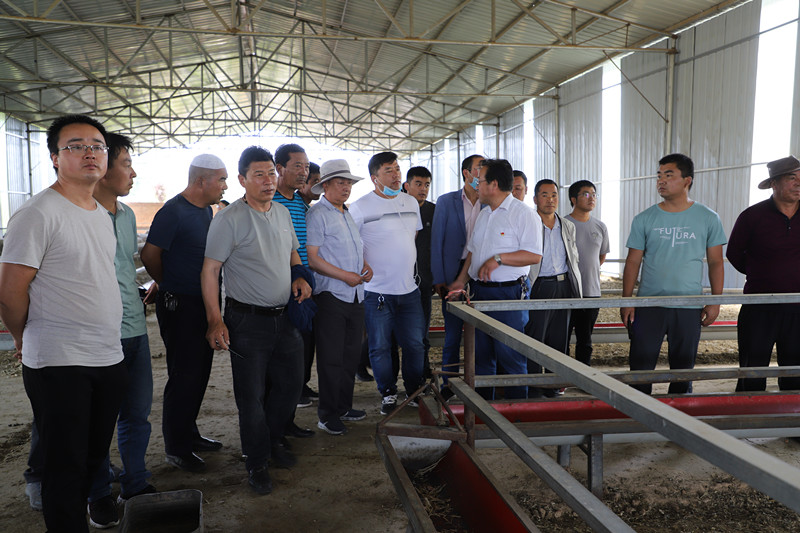 全省绿色生产基地（羊产业）农业技术骨干人员培训班圆满结束