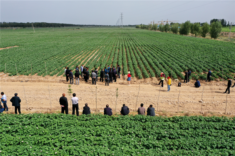 民乐县加大农业科技培训力度扎实做好耕地保护工作
