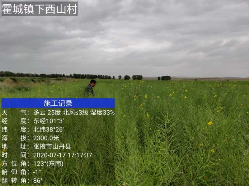 山丹县农技中心开展产地检疫确保种子质量安全