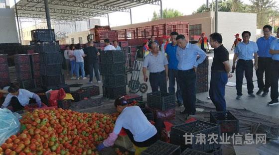 省农业农村厅副厅长蔚俊在张掖市调研指导农民合作社质量提升整县推进试点工作