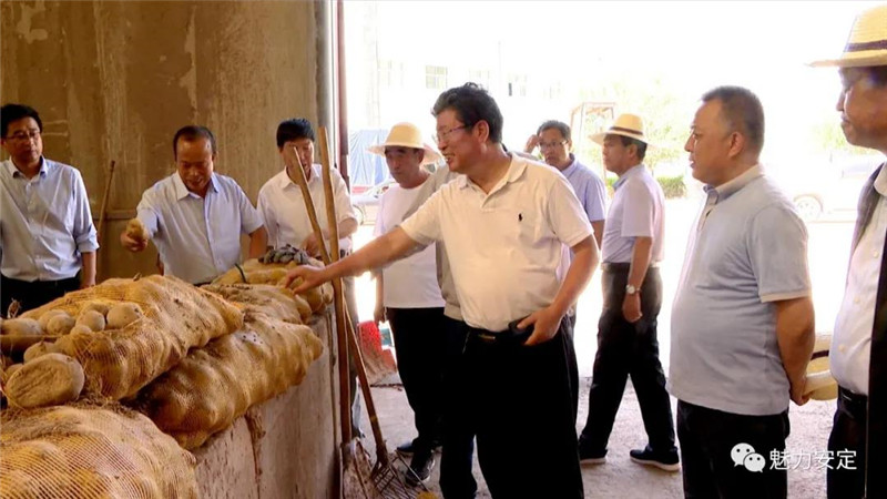 李旺泽赴安定区调研全省马铃薯产业现场推进会和2020年中国马铃薯大会筹备工作