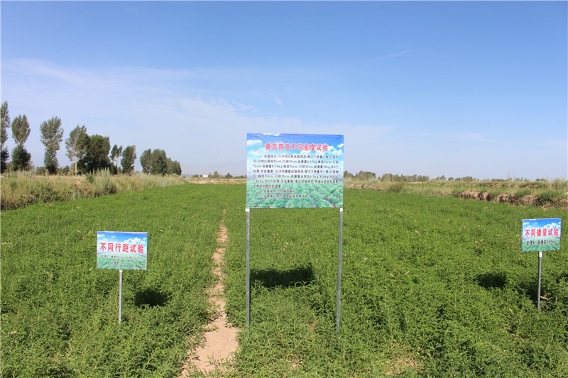 民乐县农技推广中心认真开展试验研究推动农业科技进步