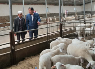 省畜牧技术推广总站科技赋能东乡县畜牧产业高质量发展