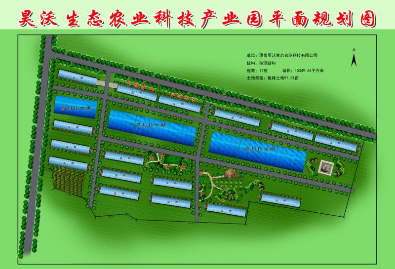 肃州区农技中心技术支撑助力小蘑菇“长”出大产业