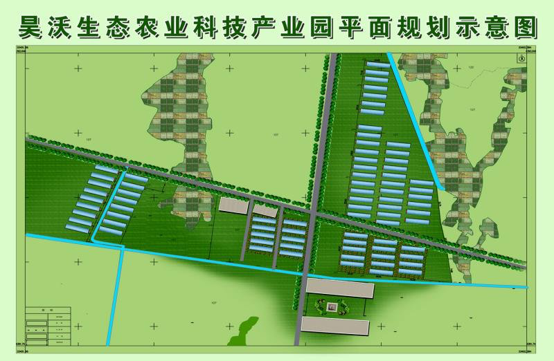 肃州区农技中心技术支撑助力小蘑菇“长”出大产业