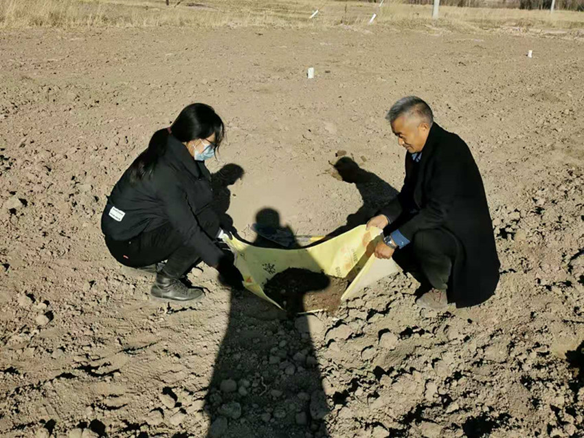山丹县扎实开展优势作物连作土壤障碍微生物治理技术