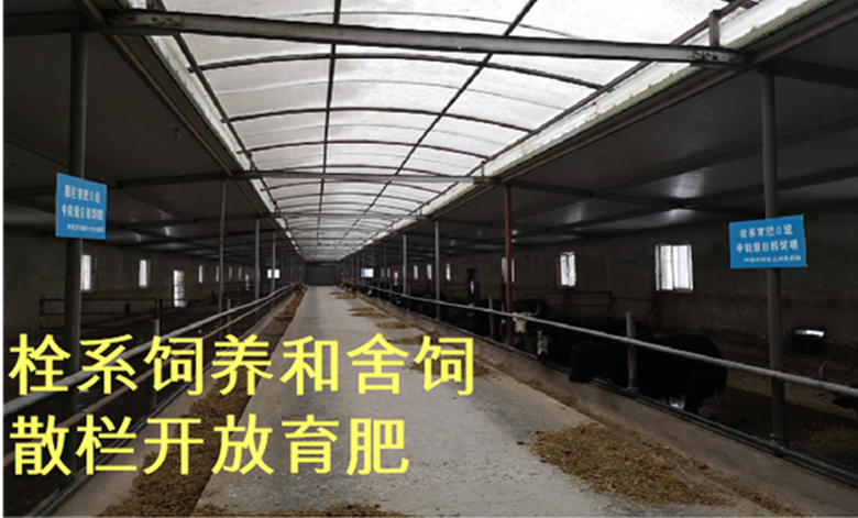 省畜牧总站顺利完成牦牛“牧繁农育”高效养殖技术集成试验示范项目