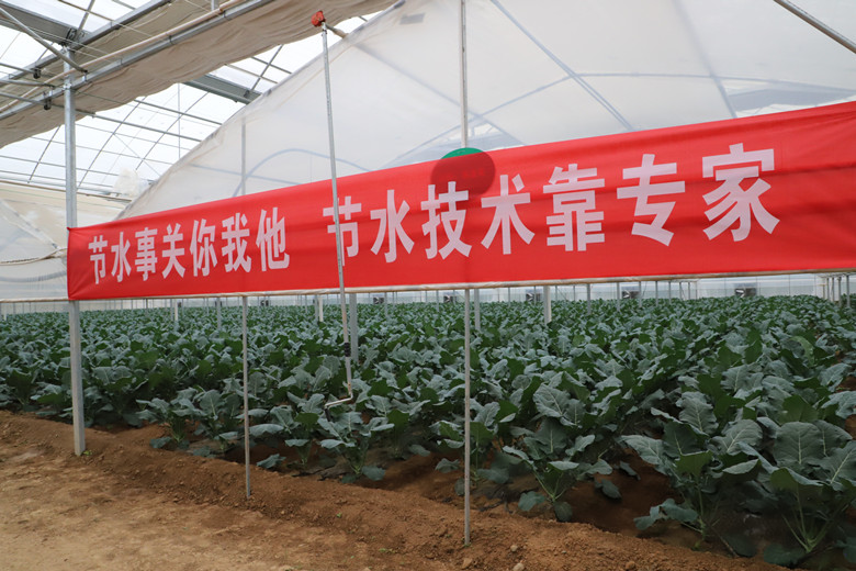 秦州区现代农业科技示范园区成为指尖上的现代农业