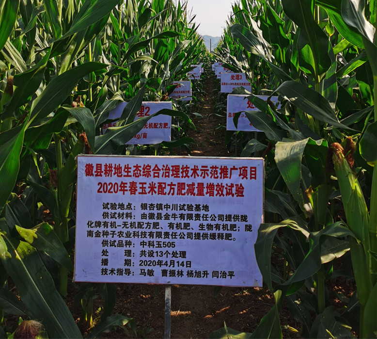 徽县：不断加大农技推广力度 全力保障粮食生产安全