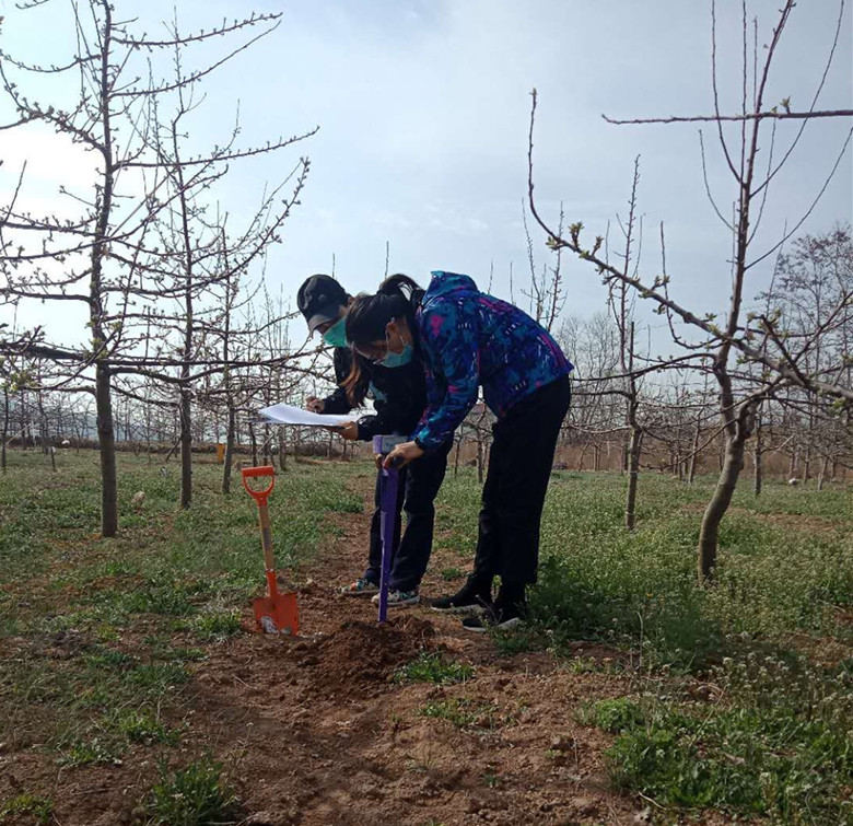 秦州区继续开展测土配方施肥基础工作推广面积95万亩以上