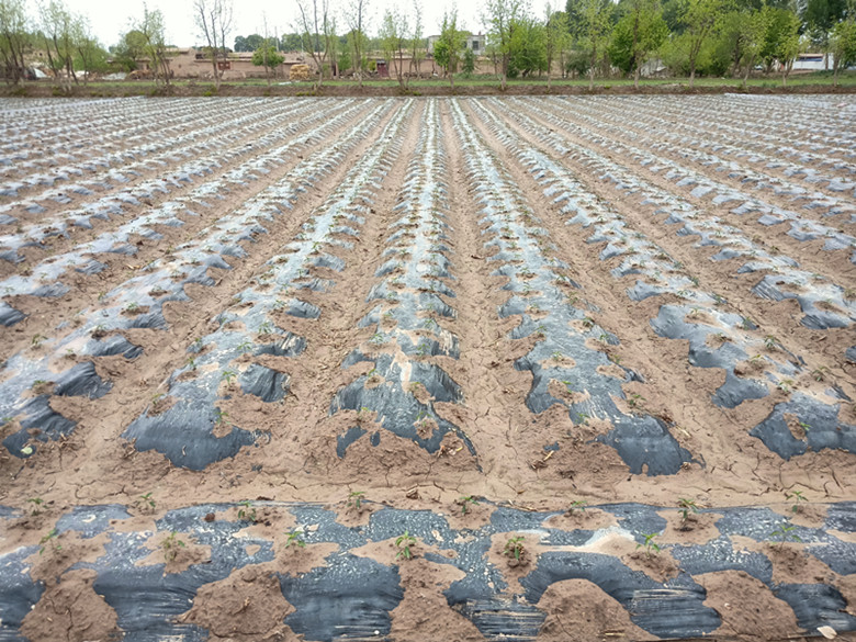 临泽县：坚持高科技组装全面提升水肥一体化技术水平