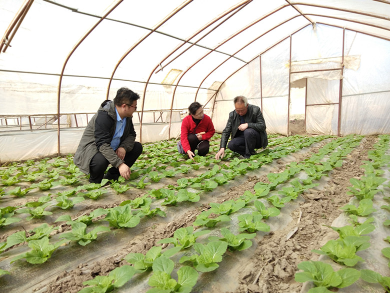 临泽县：坚持高科技组装全面提升水肥一体化技术水平