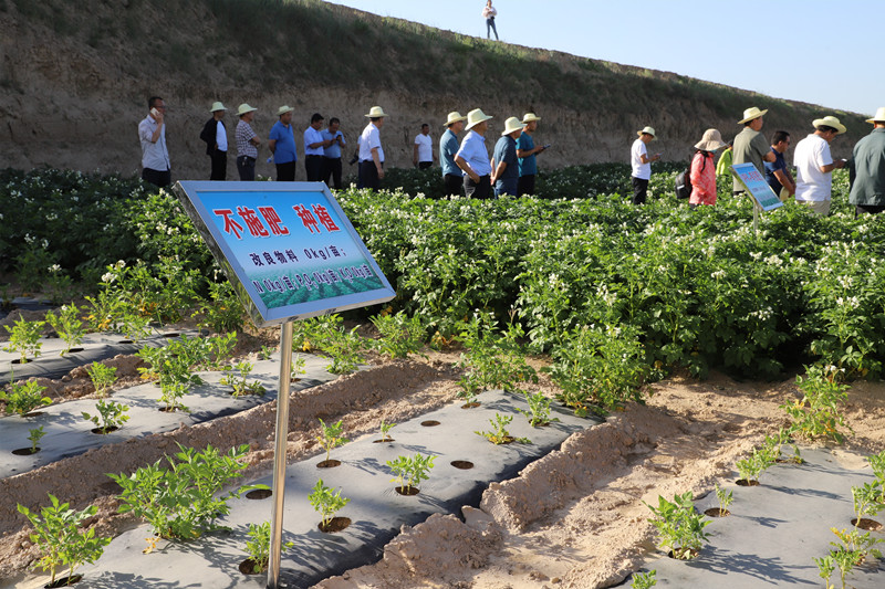 安定区扎实推进化肥减量增效重点示范