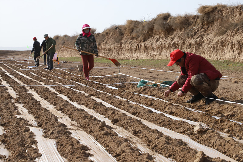 陇西县完成取土化验200个夯实测土配方施肥基础工作