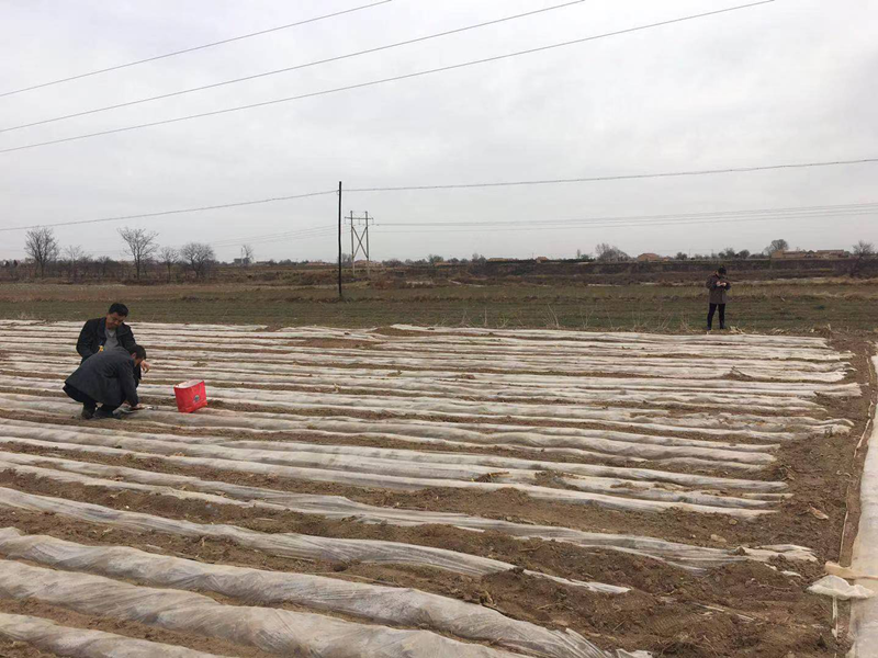 镇原县农技中心加强土壤墒情监测科学指导春耕生产工作