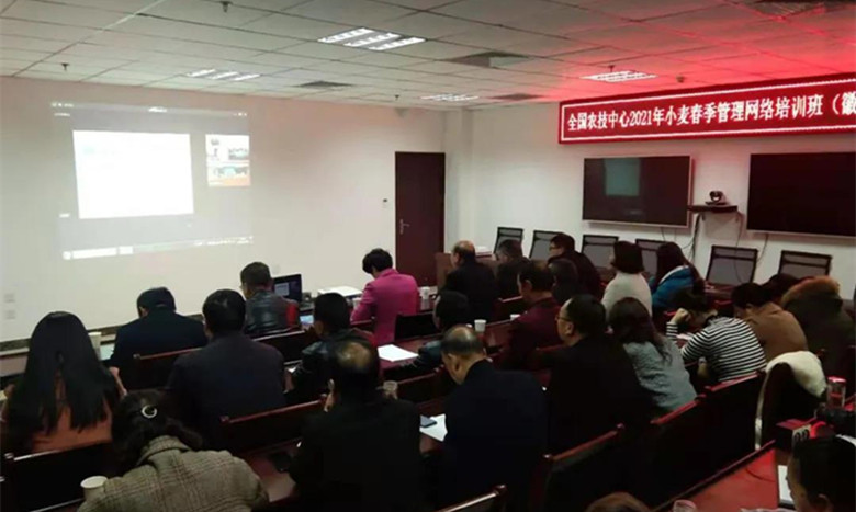徽县农技中心组织技术人员参加2021年小麦春季管理网络培训会
