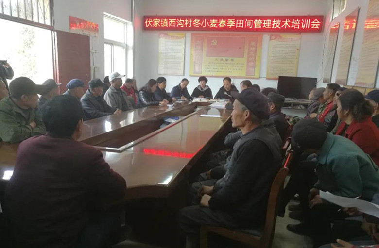 徽县农技中心技术人员深入伏家镇开展农业技术培训