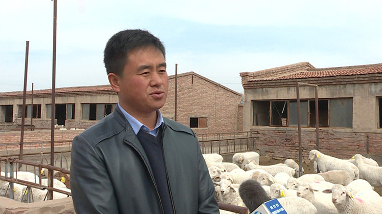 甘肃省农牧业良种场服务三农全力发展良种繁育
