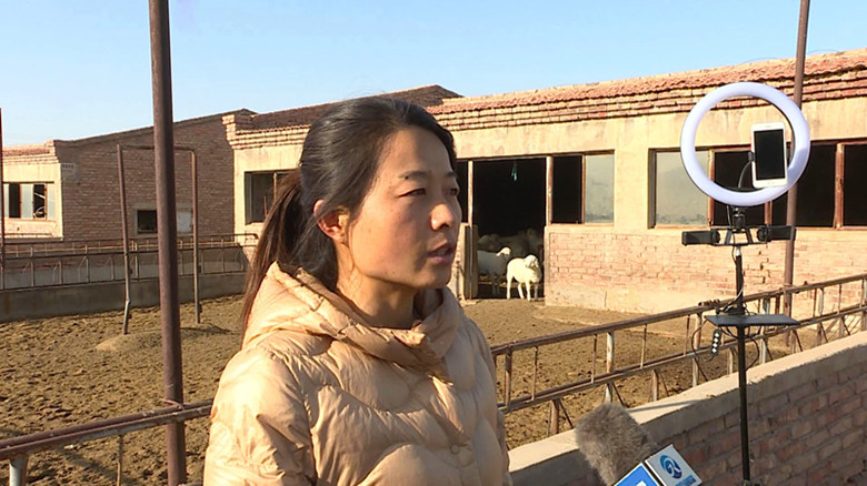 “线上+线下” 甘肃省陇上牧歌养殖有限公司开启种羊销售新模式