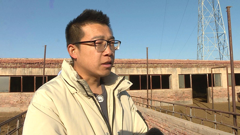 “线上+线下” 甘肃省陇上牧歌养殖有限公司开启种羊销售新模式