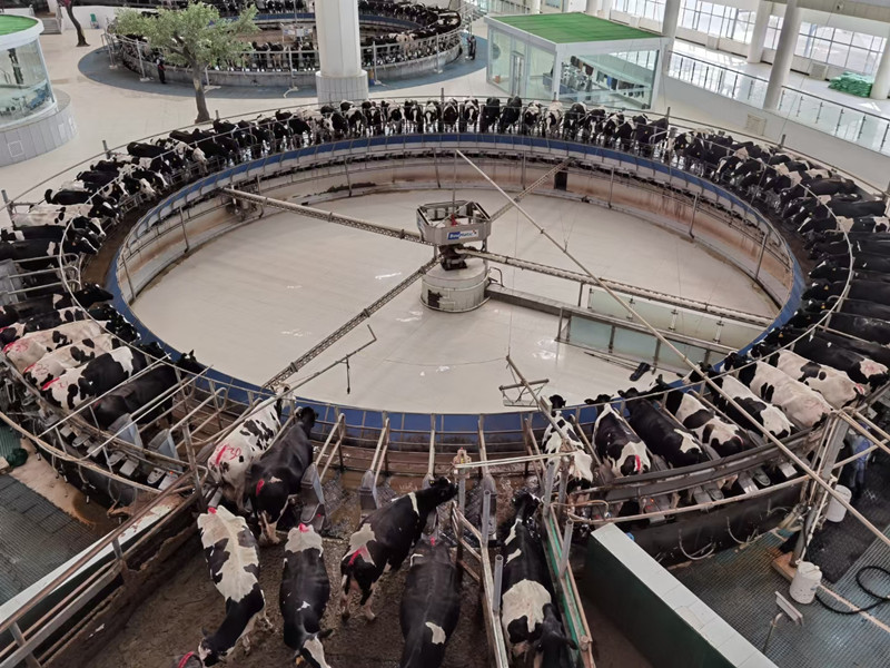 省畜牧技术推广总站开展现代奶业生产技术服务建立长效机制