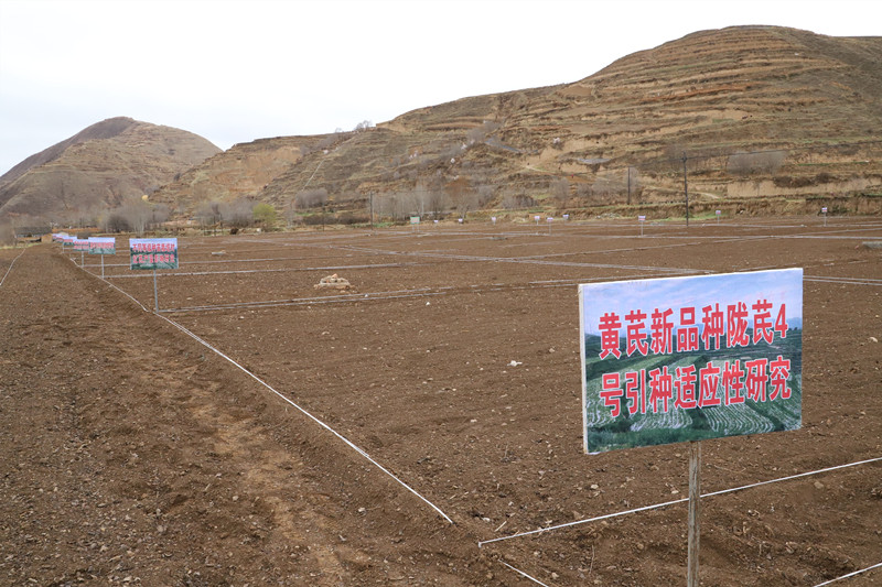 全省中药材抓点示范行动现场推进会在陇西召开