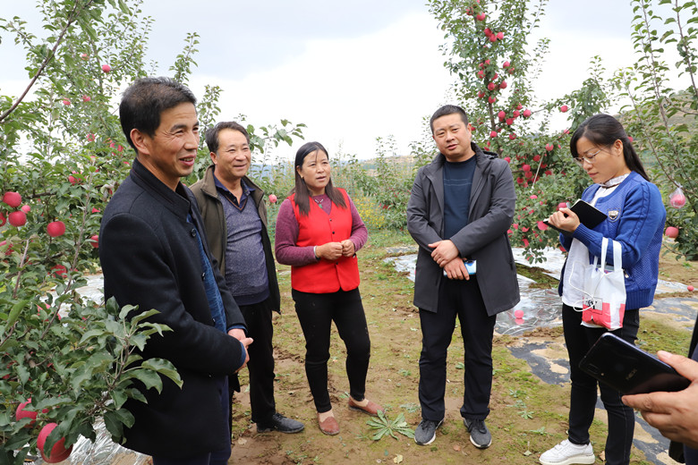 庄浪县积极实施退化耕地治理项目稳步提升耕地质量