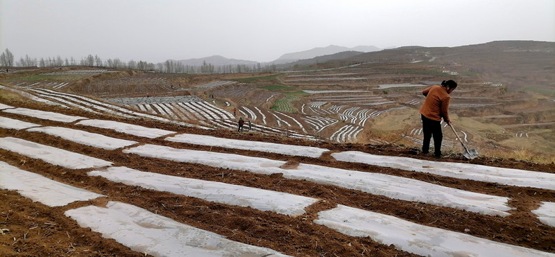 庄浪县积极实施退化耕地治理项目稳步提升耕地质量
