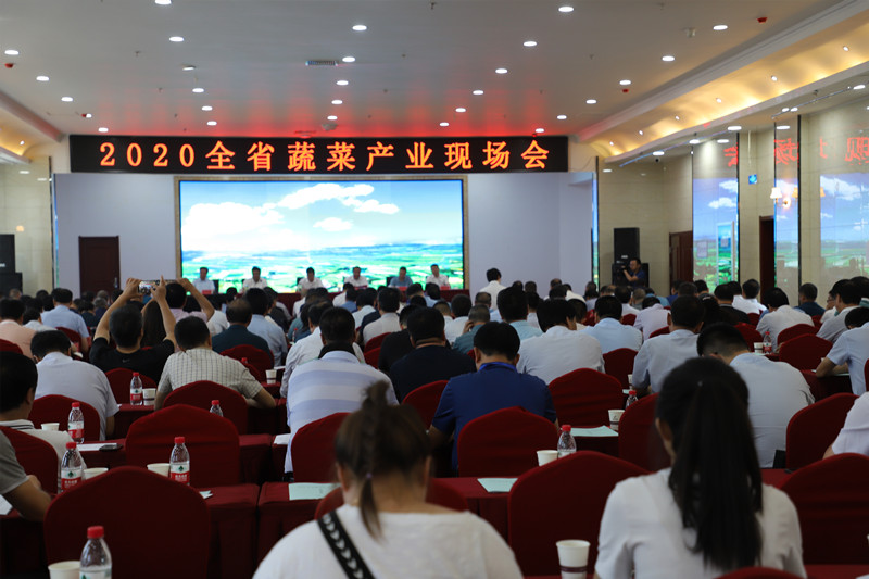 2020全省蔬菜产业现场观摩会在榆中县召开