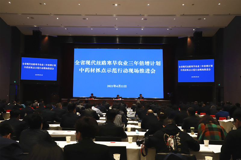 全省中药材抓点示范行动现场推进会在陇西召开