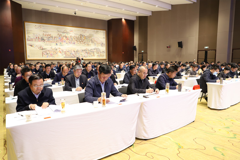 全省中药材抓点示范行动现场推进会在陇西召开