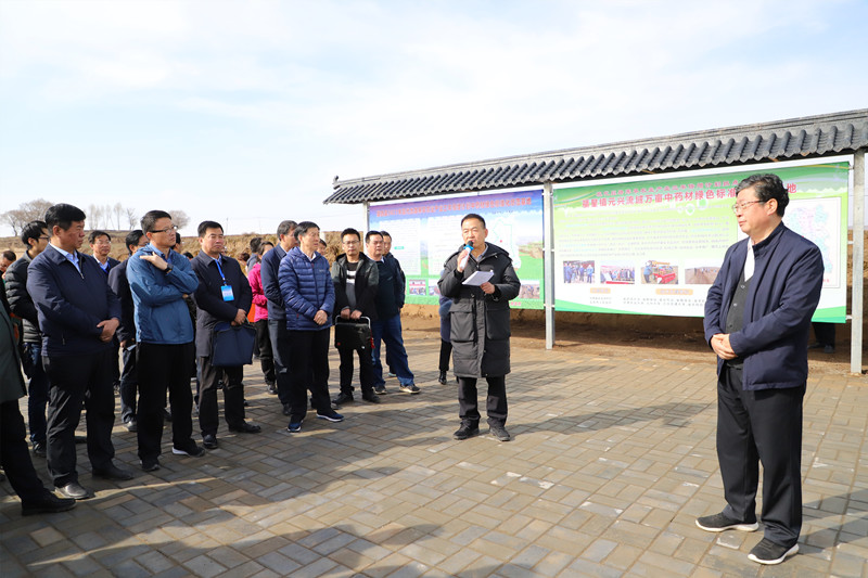 全省中药材抓点示范行动现场推进会在陇西召开