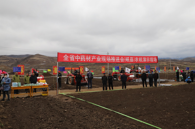 全省中药材抓点示范行动现场推进会在陇西召开