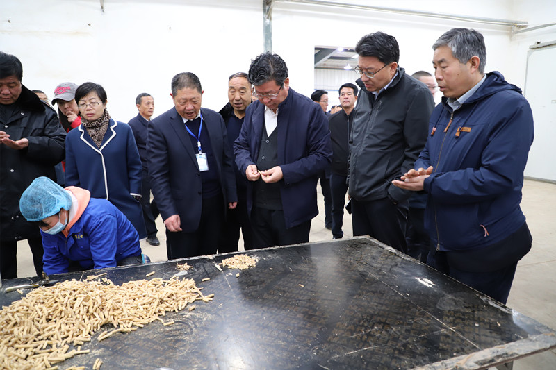 全省中药材抓点示范行动现场推进会在陇西召开